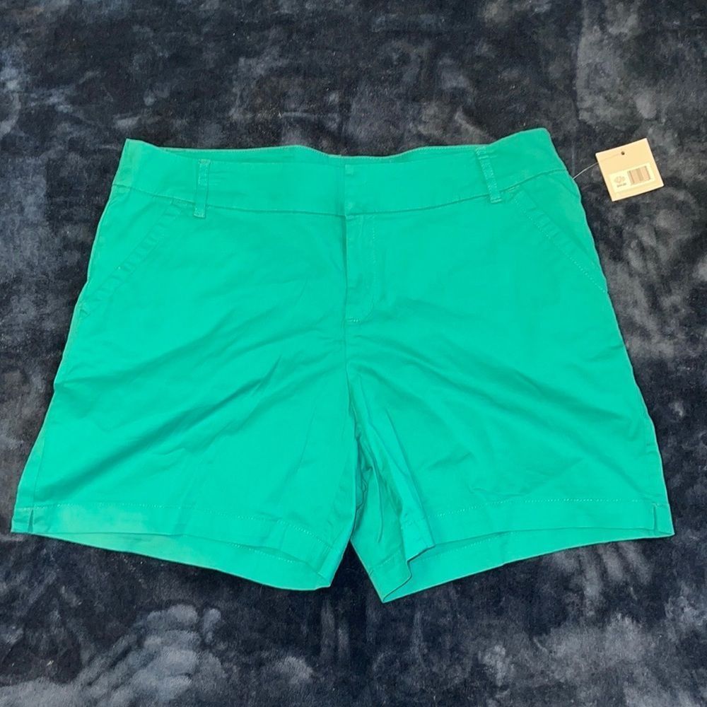 NWT Madison Size 14 Turquoise Sunny Day Shorts